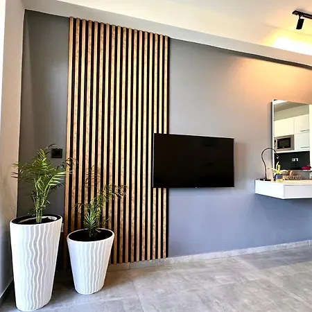 Rita Seaview By Travelpro Services Kallithea Halkidiki Apartment *