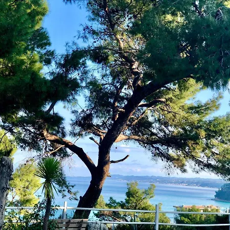 Rita Seaview By Travelpro Services Kallithea Halkidiki